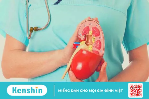 Histidine là gì?Tác dụng, cách dùng, tác dụng phụ, thực phẩm chứa histidine