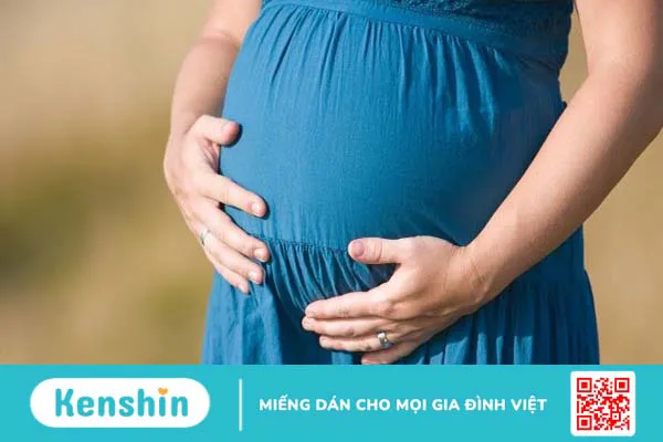 Hoa cẩm tú cầu có độc không? 9 lợi ích tốt cho sức khoẻ và các lưu ý