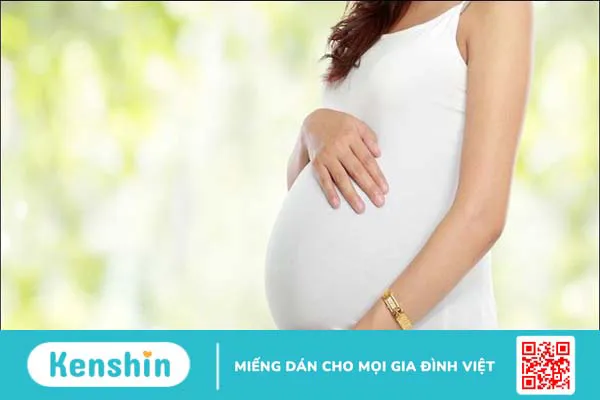 Hoa đậu biếc có tác dụng gì? 15 tác dụng và thận trọng khi sử dụng