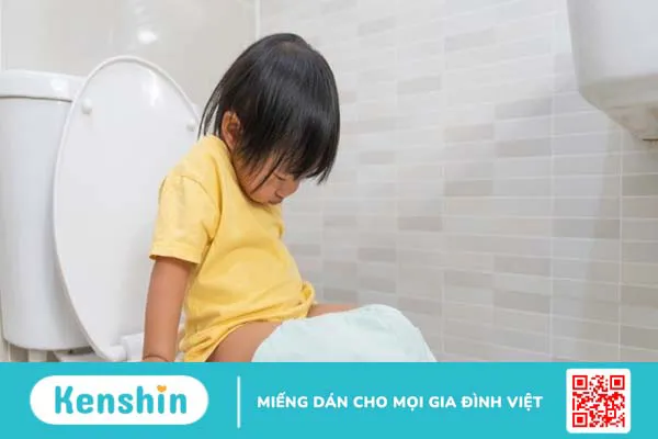 Hoàng bá có tác dụng gì? 17 bài thuốc chữa bệnh từ cây hoàng bá