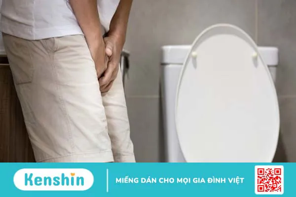 Hoàng bá có tác dụng gì? 17 bài thuốc chữa bệnh từ cây hoàng bá