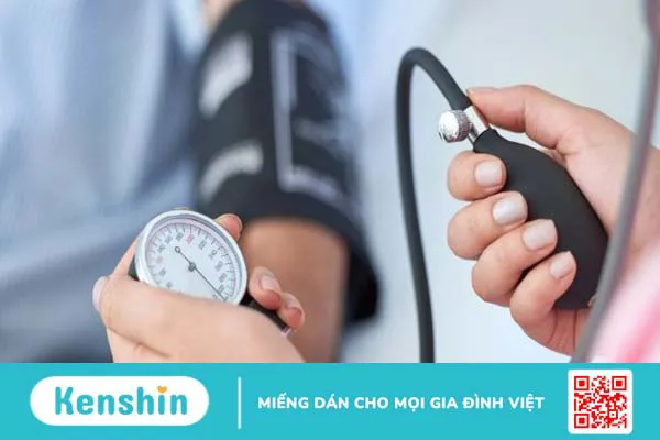 Hoàng bá có tác dụng gì? 17 bài thuốc chữa bệnh từ cây hoàng bá