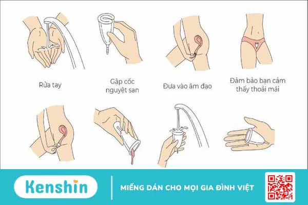 Hướng dẫn cách dùng cốc nguyệt san đúng cách an toàn, hiệu quả