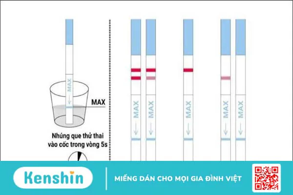 Hướng dẫn cách dùng que thử thai và đọc kết quả chi tiết tại nhà