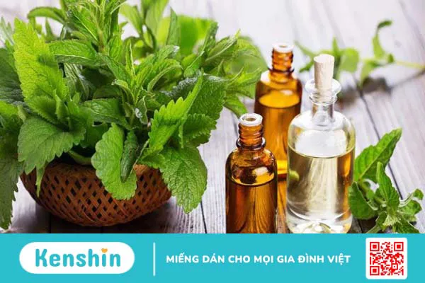 Hướng dẫn cách sử dụng bạc hà đúng cách an toàn và hiệu quả