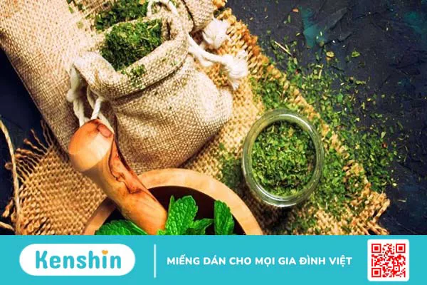 Hướng dẫn cách sử dụng bạc hà đúng cách an toàn và hiệu quả