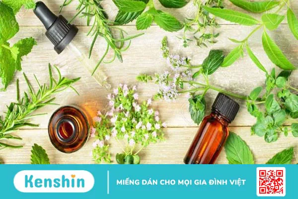 Hướng dẫn cách sử dụng bạc hà đúng cách an toàn và hiệu quả