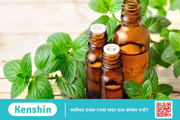 Hướng dẫn cách sử dụng bạc hà đúng cách an toàn và hiệu quả