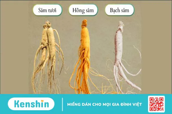 Hướng dẫn cách sử dụng nhân sâm đúng cách an toàn và hiệu quả ngay tại nhà