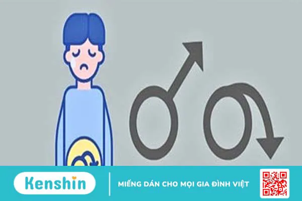 Hướng dẫn cách sử dụng nhân sâm đúng cách an toàn và hiệu quả ngay tại nhà