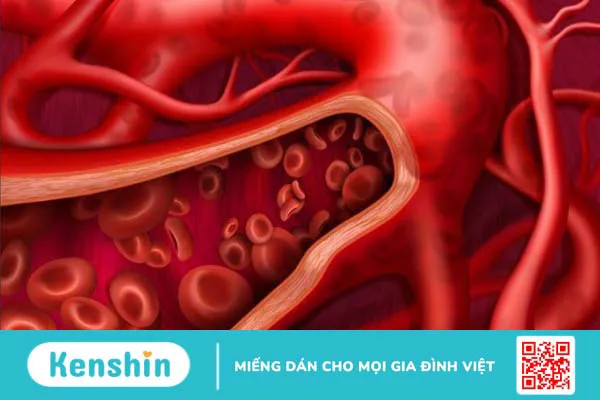 Hướng dẫn cách sử dụng nhân sâm đúng cách an toàn và hiệu quả ngay tại nhà