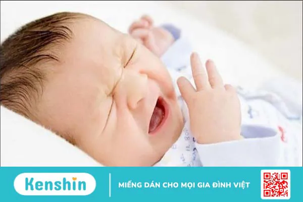 Hướng dẫn cách sử dụng nhân sâm đúng cách an toàn và hiệu quả ngay tại nhà