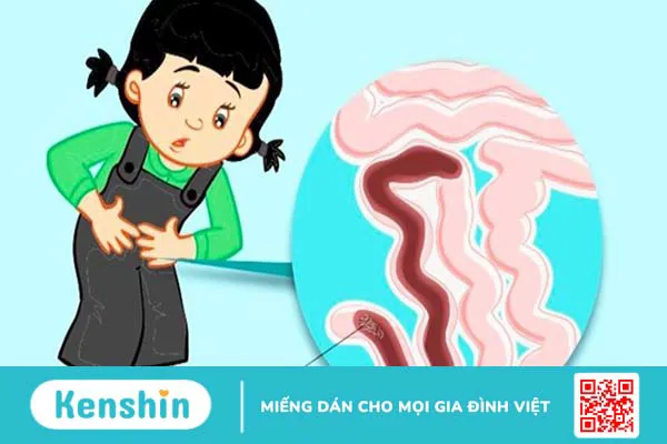 Hướng dẫn sử dụng thuốc tẩy giun đúng cách an toàn và hiệu quả