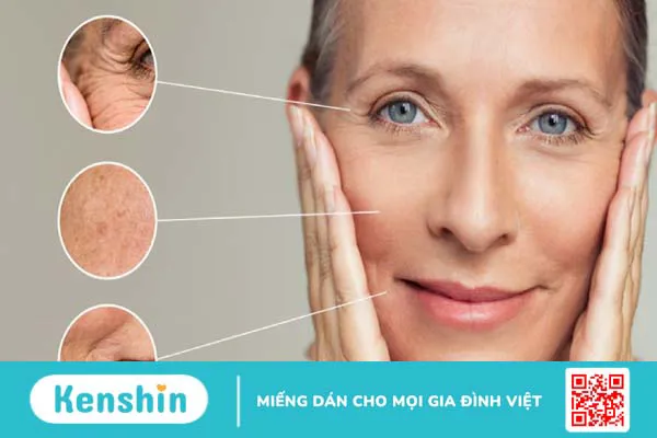 Hyaluronic Acid là gì? Công dụng của HA đối với làn da và sức khỏe