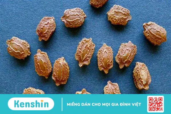 Khổ qua bao nhiêu calo? Cách ăn khổ qua giảm cân, giữ dáng hiệu quả