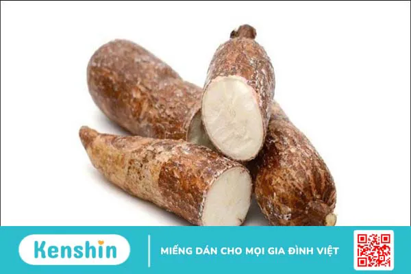 Khoai mì bao nhiêu calo? Cách ăn khoai mì giảm cân và lưu ý khi ăn