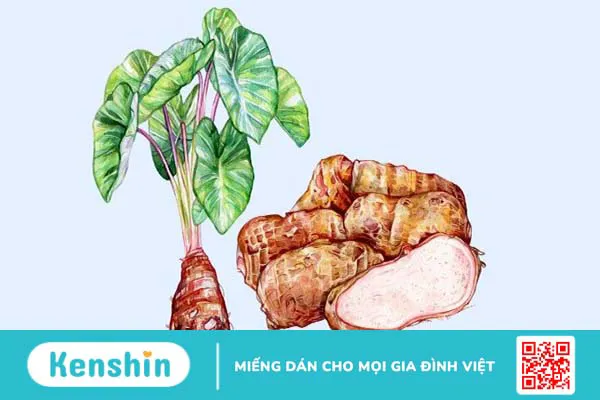 Khoai sọ bao nhiêu calo? Ăn khoai sọ có béo không? Các lưu ý khi ăn