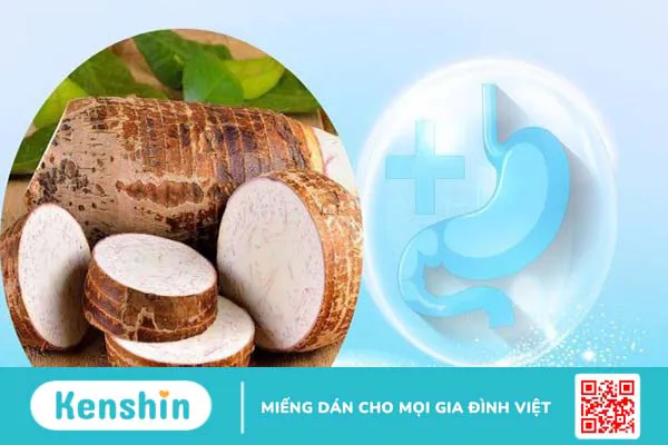 Khoai sọ bao nhiêu calo? Ăn khoai sọ có béo không? Các lưu ý khi ăn