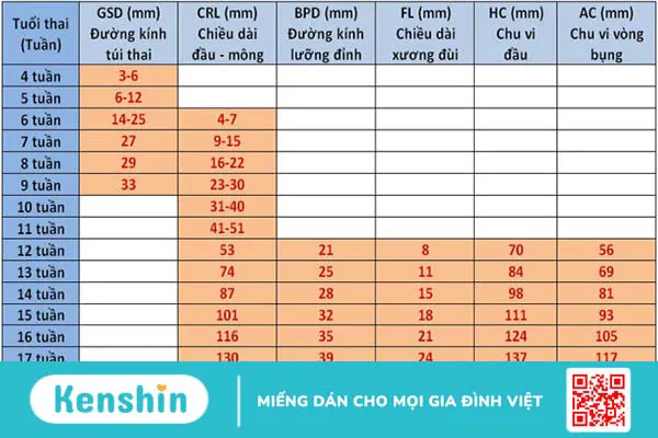 Kiểm tra cân nặng, sức khoẻ thai nhi các mẹ bầu nên biết