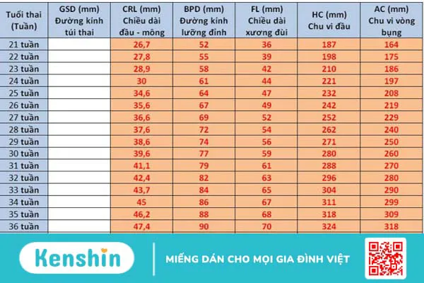 Kiểm tra cân nặng, sức khoẻ thai nhi các mẹ bầu nên biết