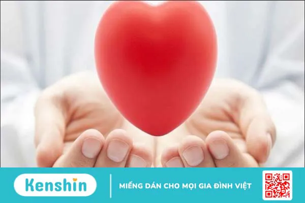 Kim chi bao nhiêu calo? Ăn kim chi có béo không? Lưu ý khi ăn