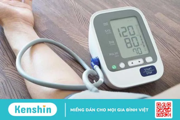 Kim tiền thảo là thuốc gì? Công dụng, cách dùng, lưu ý khi sử dụng