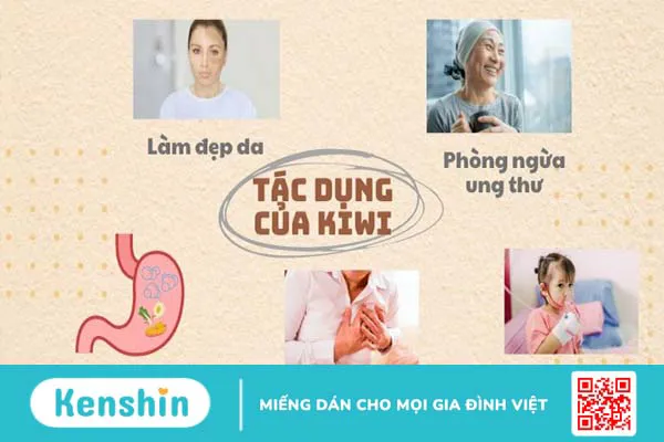 Kiwi bao nhiêu calo? Ăn kiwi có béo không? Cách ăn giảm cân và lưu ý