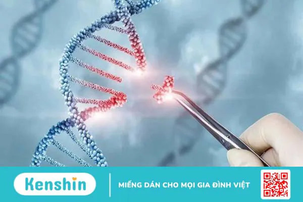 L-arginine là gì? Công dụng, cách dùng, thực phẩm chứa L-arginine