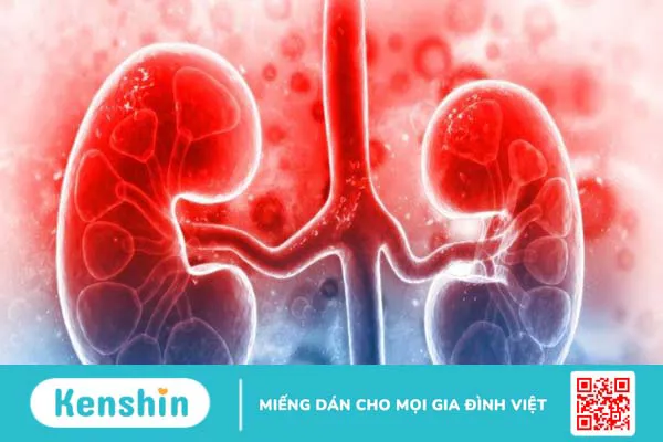 L-arginine là gì? Công dụng, cách dùng, thực phẩm chứa L-arginine