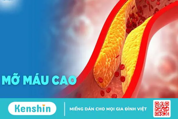 L-arginine là gì? Công dụng, cách dùng, thực phẩm chứa L-arginine