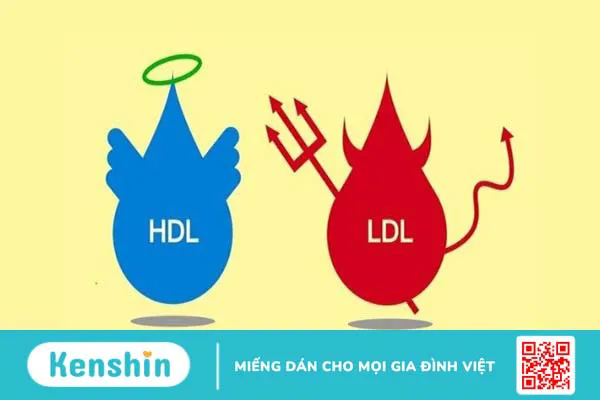 L-Carnitine là gì? Tác dụng, cách dùng và lưu ý khi sử dụng