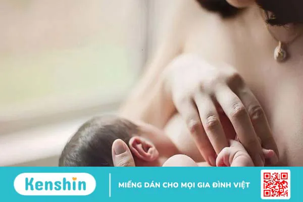 L-Carnitine là gì? Tác dụng, cách dùng và lưu ý khi sử dụng