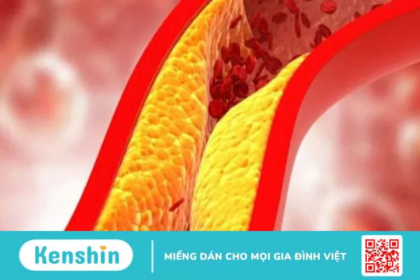 L-Carnitine là gì? Tác dụng, cách dùng và lưu ý khi sử dụng