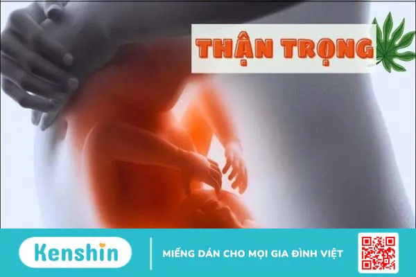 Lá đu đủ có tác dụng gì? 13 công dụng và cách sử dụng lá đu đủ