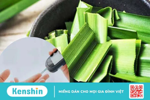 Lá dứa chữa bệnh tiểu đường được không? Lợi ích và cách dùng lá dứa