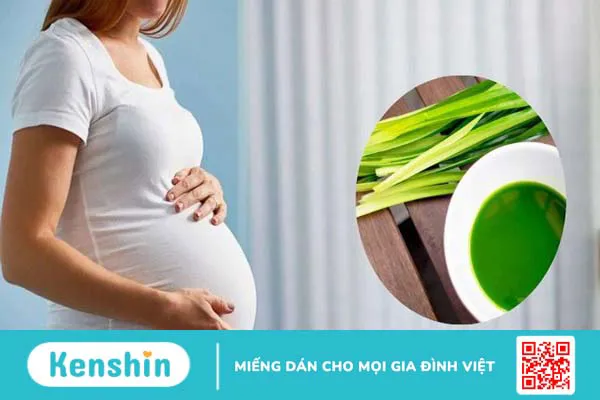 Lá dứa chữa bệnh tiểu đường được không? Lợi ích và cách dùng lá dứa