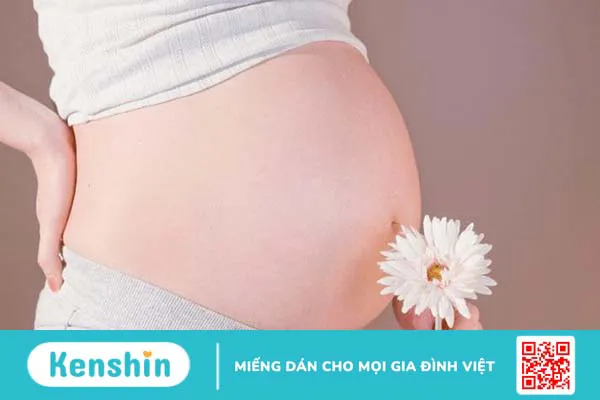 Lá hẹ có tác dụng gì? 10 tác dụng của lá hẹ không thể bỏ qua!