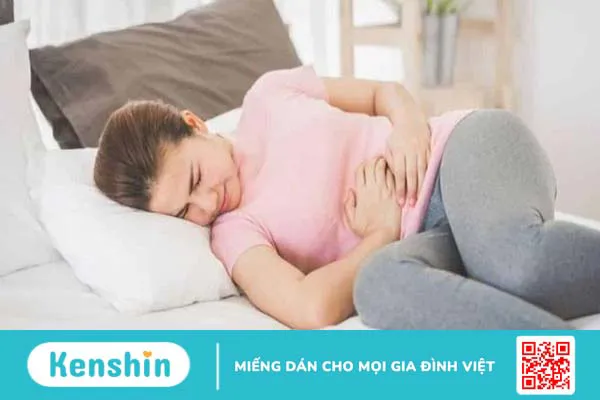 Lá lốt có tác dụng gì? Cách dùng, liều dùng, bài thuốc và tác dụng phụ