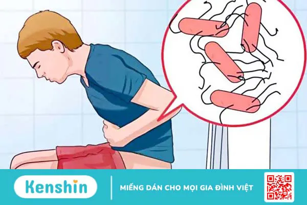 Lá ổi có tác dụng gì? 13 tác dụng của lá ổi có thể bạn chưa biết