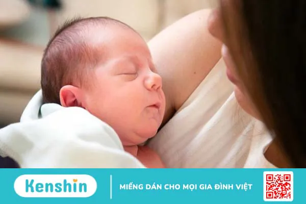 Lá sen có tác dụng gì? Đối tượng nên lưu ý khi sử dụng