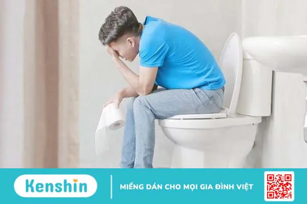 Lá trầu không có tác dụng gì? 10 tác dụng của lá trầu không nên biết