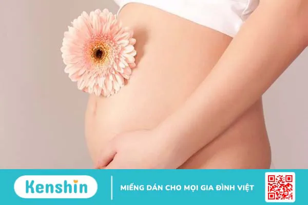 Lá trầu không có tác dụng gì? 10 tác dụng của lá trầu không nên biết