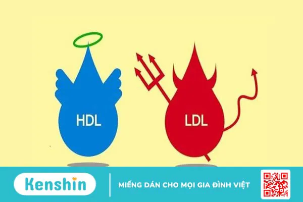 Lactobacillus acidophilus là gì? 14 tác dụng của Lactobacillus acidophilus đối với sức khỏe