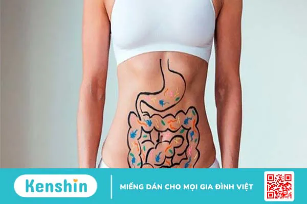 Lactobacillus acidophilus là gì? 14 tác dụng của Lactobacillus acidophilus đối với sức khỏe