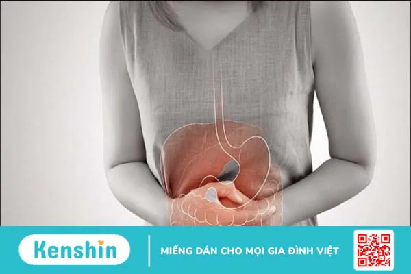 Lactobacillus acidophilus là gì? 14 tác dụng của Lactobacillus acidophilus đối với sức khỏe