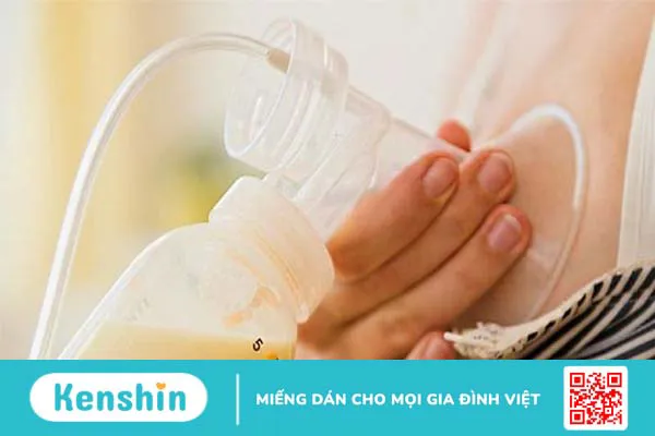 Lecithin là gì? Các lợi ích của lecithin với sức khỏe