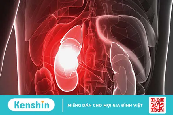 Liều dùng, cách dùng của Telfast 180mg? Lưu ý khi sử dụng