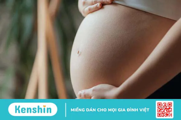 Liều dùng, cách dùng, lưu ý khi sử dụng bạch chỉ