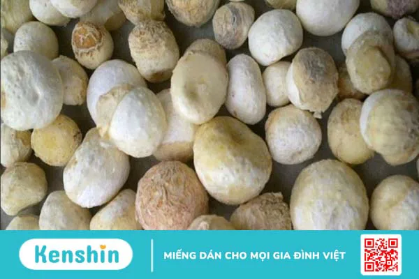 Liều dùng, cách dùng, lưu ý khi sử dụng Bán hạ