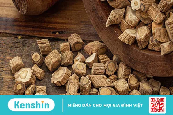 Liều dùng, cách dùng, lưu ý khi sử dụng Bản lam căn